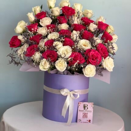 بوكس ورد الوان