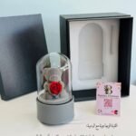 القبة الزجاجية