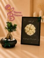 ⁦نبتة البونساي⁩ - الصورة ⁦2⁩